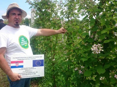 OPG Radić