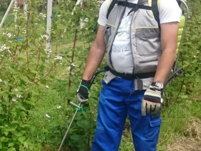 OPG Radić