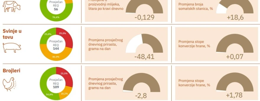 vdf