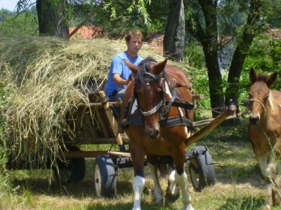 Slavonski sokak