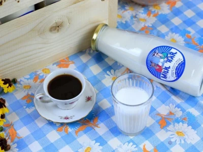 Milk Bar (OPG Mario Krog)