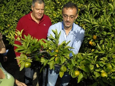 Ministar Jakovina i Jambo na neretvanskoj plantaži mandarina 2014.