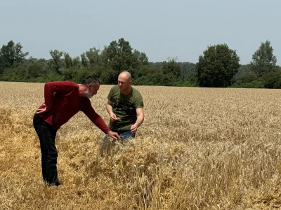 Ministar poljoprivrede u žetvi