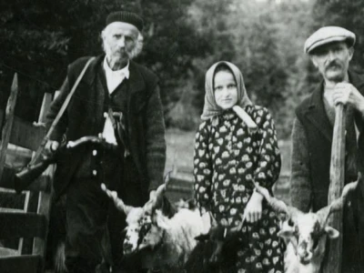 Zanimljiv motiv Mirila - stočarstvo nekada i sada
