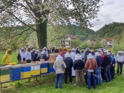 Na pčelinjaku u Podgradcima