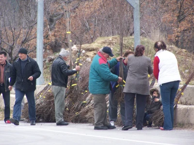 Sadnice autohtonih voćaka na području Općine Lovreć