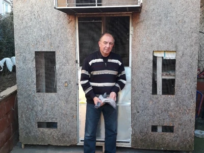 Mladen Vuković