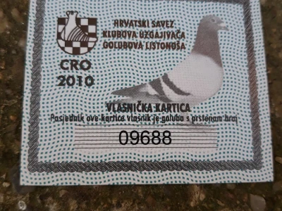 Mladen Vuković