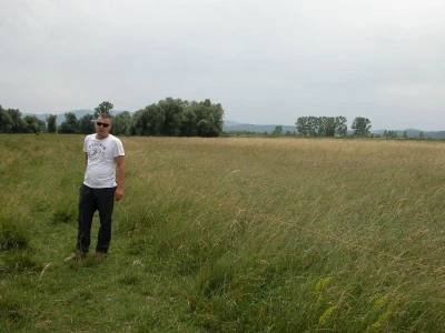 Bože Banić i njegova sjenokoša u Sinjskom polju