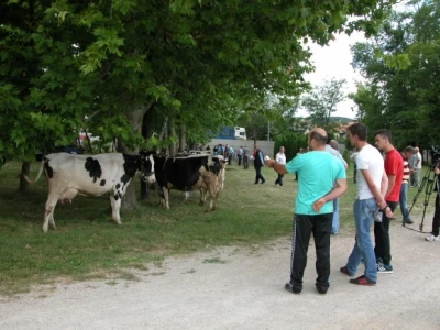 Mladi se, očito, sve više zanimaju za stočne izložbe