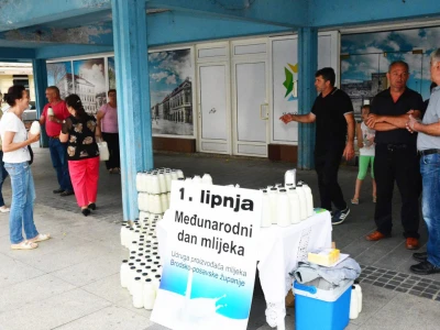 Međunarodni dan mlijeka