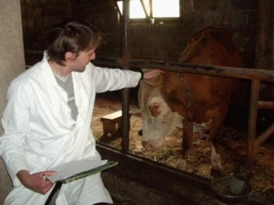 Tradicionalne farme u BiH
