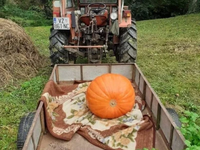 Moj vrtek