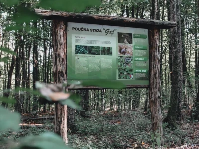 Moslovačka priča