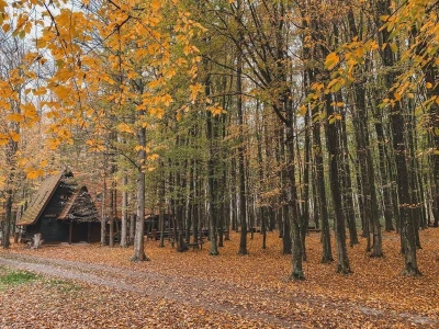 Moslovačka priča