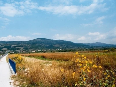 Neobrađeno Mućko polje