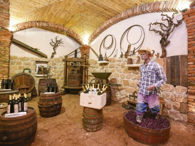 Muzej pelješke tradicije