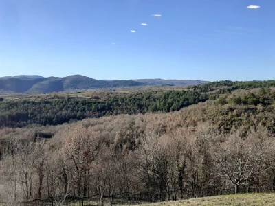 Muzej tartufa