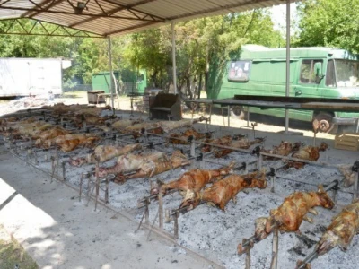 Na jednom mjestu  vrti se 55 janjaca