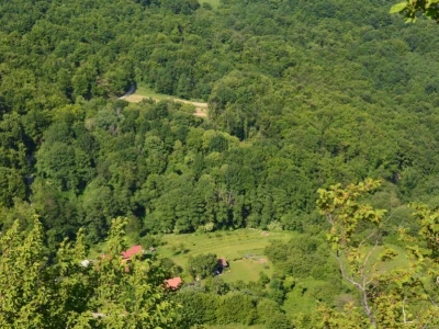 Na Okić