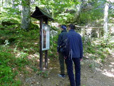 Nacionalni park Risnjak