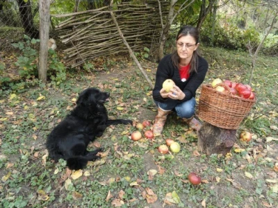 Nada Čegec