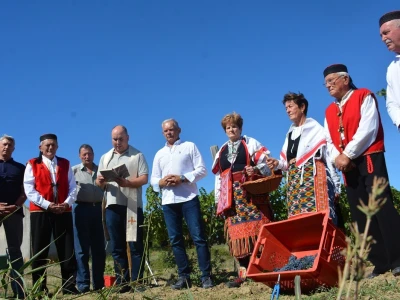 VINOGRADARSKI POLOŽAJ - Otkrivena tajna Nadinskog blata!