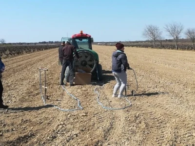 NADINSKO BLATO - Sadnja novog vinograda u jeku pandemije