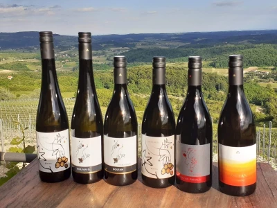 Nagrađivane eko vinarije