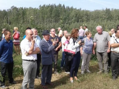 Uzgoj jabuka u Mađarskoj