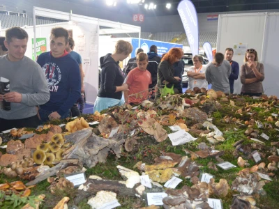Najposjećeniji dio varaždinskog sajma lova, ribolova i prirode bio je izložbeni gljivarski stol međimurskih gljivara