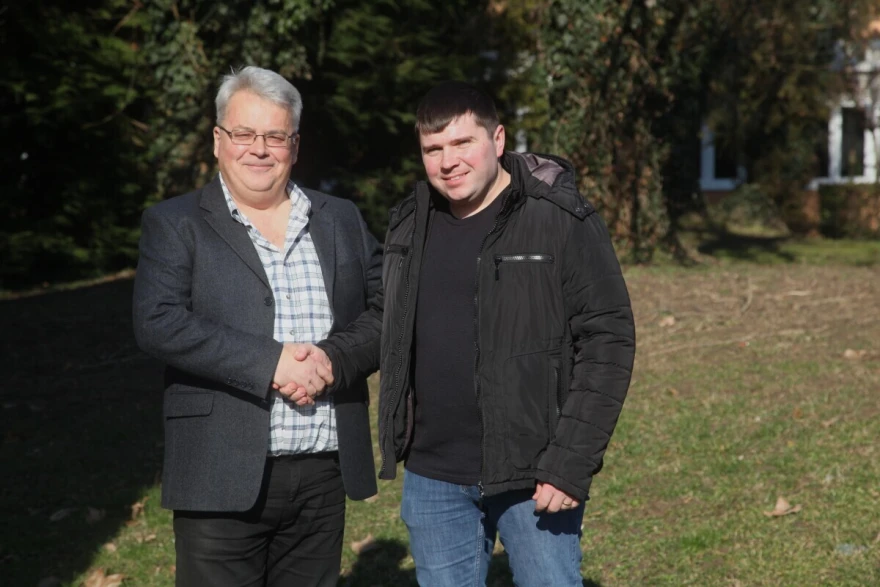 mliječne krave 