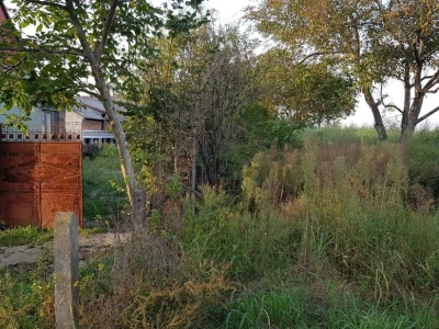 Apel mladog Slavonca