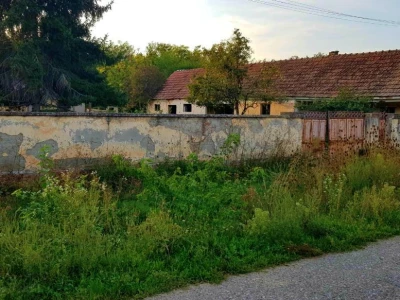 Apel mladog Slavonca