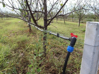Navodnjavanje