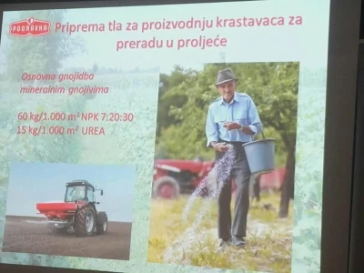 Negativni trendovi