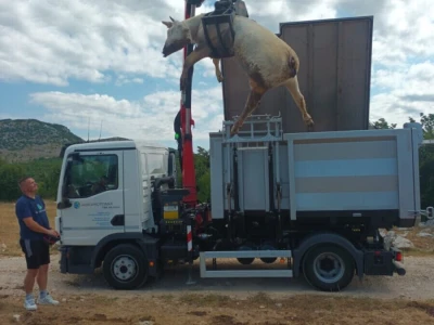 Određeni bedrenički distrikti