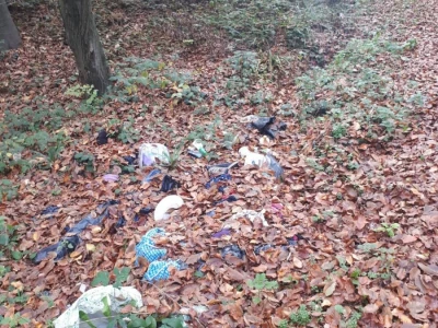 „Nije opasna plastika, nju možemo reciklirati, opasni su neodgovorni ljudi!“