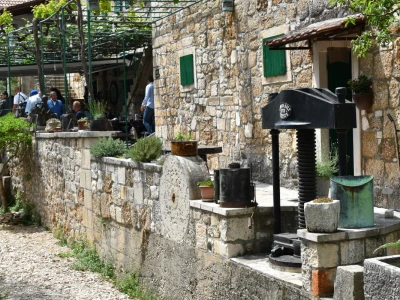 Noćnjak 2022 Dol