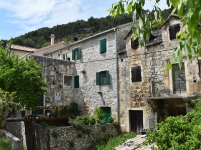Noćnjak 2022 Dol