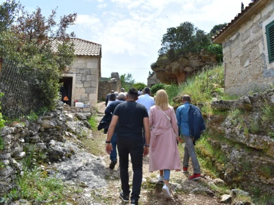 Noćnjak 2022 Dol