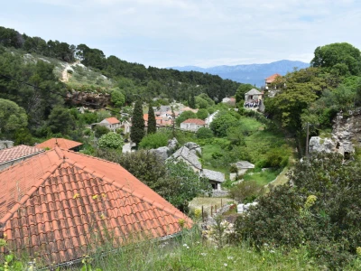 Noćnjak 2022 Dol