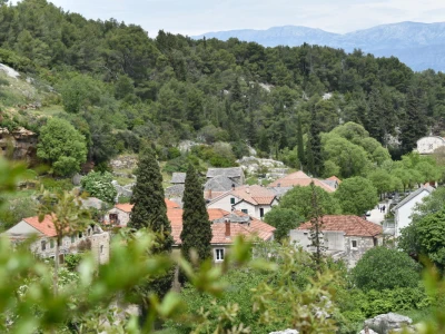 Noćnjak 2022 Dol