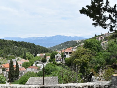 Noćnjak 2022 Dol