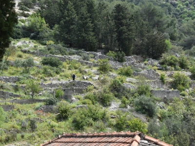Noćnjak 2022 Dol