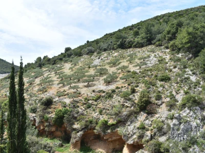Noćnjak 2022 Dol