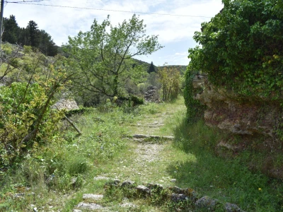 Noćnjak 2022 Dol