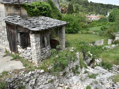 Noćnjak 2022 Dol