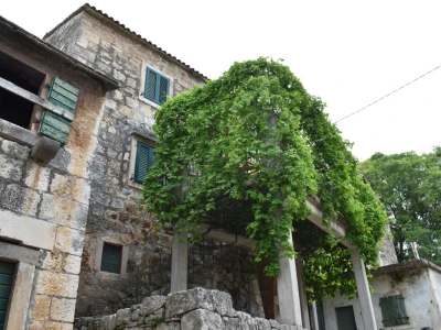 Noćnjak 2022 Dol