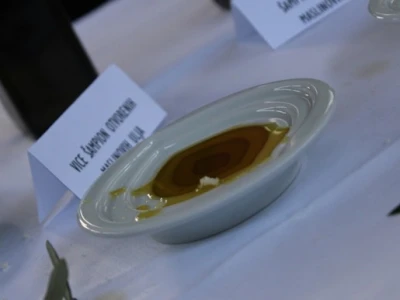 Degustacija maslinovog ulja